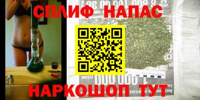 apvp Свободный