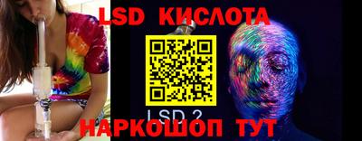 apvp Свободный
