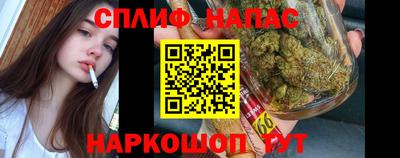 apvp Свободный