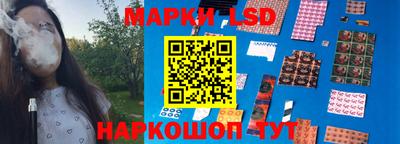apvp Свободный
