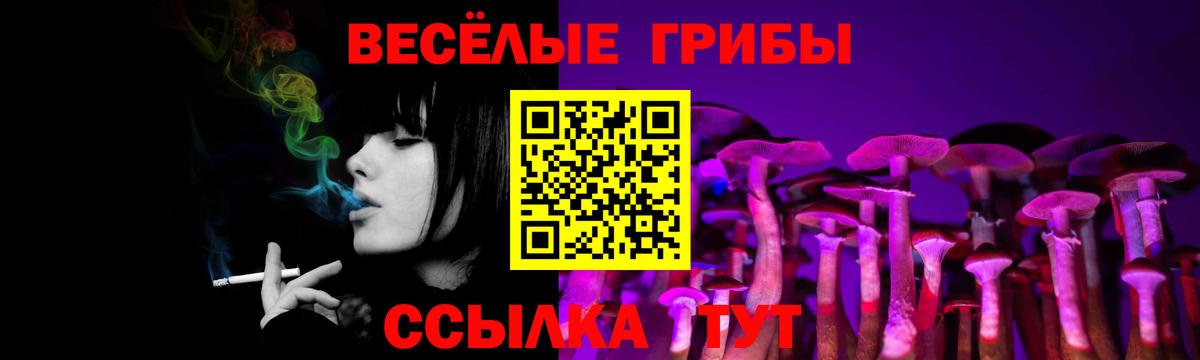 где купить   Псилоцибиновые грибы прущие грибы  Вход с VPN  Ачхой-Мартан  Галлюциногенные грибы MAGIC MUSHROOMS 